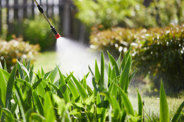 24/7 Emergency Mosquito Control experts in Dakota Ridge, CO